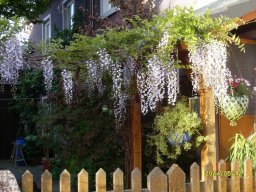 9908cd_bfa6afc1e56548ad9818e2b977b031b4_mv2_d_2048_1536_s_2